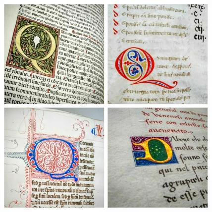 A sampling of illuminated initials