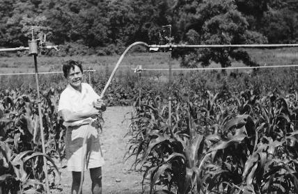 Barbara McClintock watering her cornfield, 1953