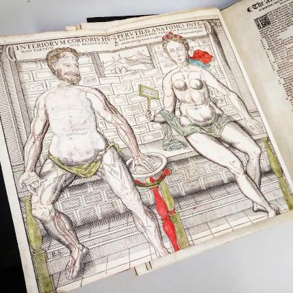 Adam and Eve Adam and Eve