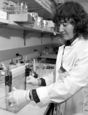 Carol Greider in the lab at Cold Spring Harbor Laboratory, circa 1990s