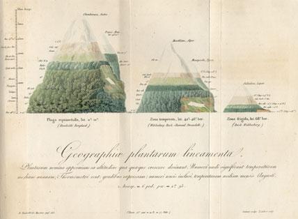 De distributione geographica plantarum…