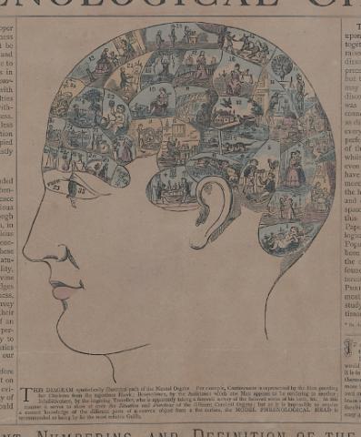 phrenology